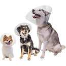 Pivetal Baxter E-Collar - Multiple Sizes