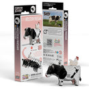 EUGY 3D Cardboard Model Kit Puzzle - Land Animals