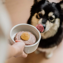 Faim Museau Dog Cozy Bone Broth 180g