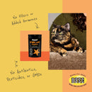 Diggin Your Dog - Firm Up Pumpkin 227g