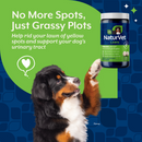 NaturVet Grass Saver Wafer - 300ct