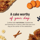 Honest Kitchen Birthday Cake Mix Chicken & Blueberry 7.5oz Box