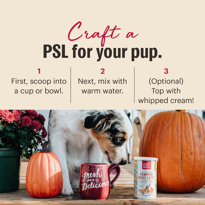 Honest Kitchen Mix Pumpkin Spice Latte 4oz