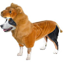 Dog Halloween Costume - Wannabe Lion