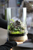 Romin's Bioactive Terrarium Workshop *In Store Only