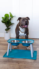 Messy Mutts Elevated Double Feeder - Blue