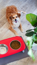 Messy Mutts Elevated Double Feeder - Red