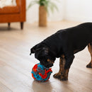 Messy Mutts Forage Ball