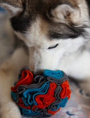Messy Mutts Forage Ball