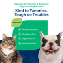 NaturVet Digestive Enzymes with Pre & Probiotic (4 oz Jar Powder)