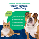NaturVet Digestive Enzymes 8oz