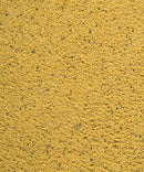 NutriBird Gold Patee for Canaries