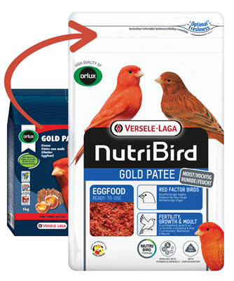 NutriBird Gold Patee Red for Canaries