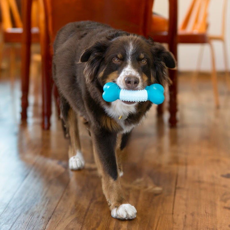 Kong Goomz Dental Bone Dog Toy