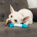 Kong Goomz Dental Stick Dog Toy