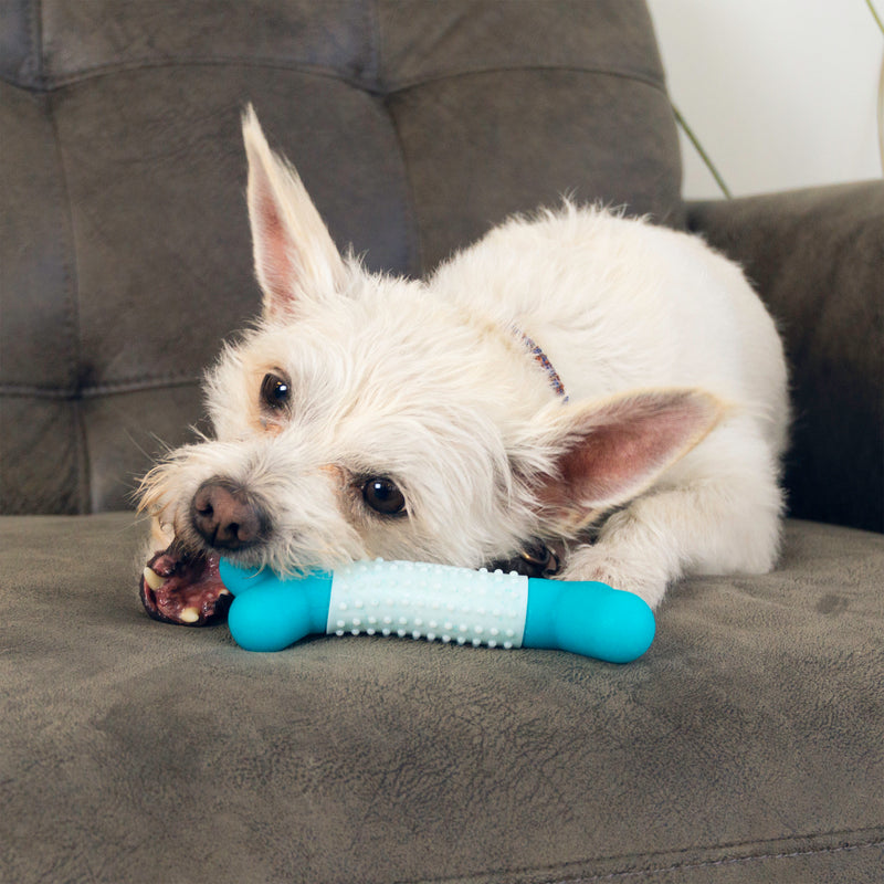 Kong Goomz Dental Stick Dog Toy