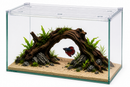 Peter's Aquaverse Rimless Aquarium - Multiple Sizes