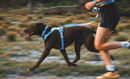 Ruffwear Front Range Flex Leash