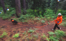 Ruffwear Rogue Long Line