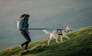 Ruffwear Ridgeline Leash