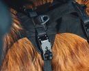 Ruffwear Ridgeline Harness
