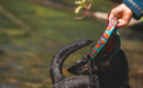 Ruffwear Remix Soft Flying Disc