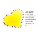 Sunburst Ant Nectar - Available in 3 Sizes