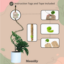 Mossify Bendable Coir Pole w/Tape