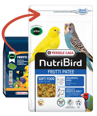 NutriBird Frutti Patee Condition Food for Birds