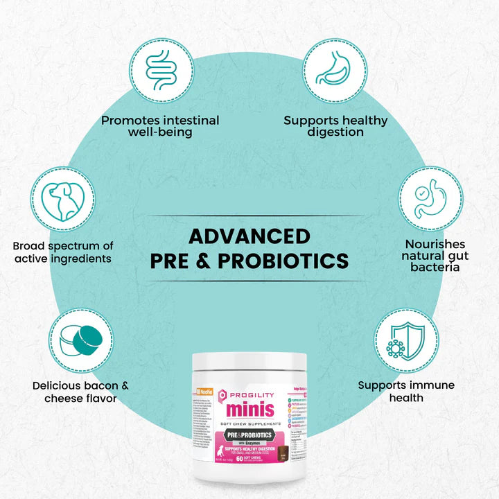 Nootie Progility Minis Pre & Probiotics Soft Chew Supplements for Dogs 120g