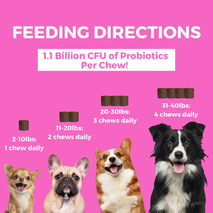 Nootie Progility Minis Pre & Probiotics Soft Chew Supplements for Dogs 120g