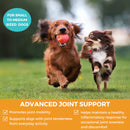 Nootie Progility Minis Hip & Joint Soft Chew Supplements for Dogs 120g