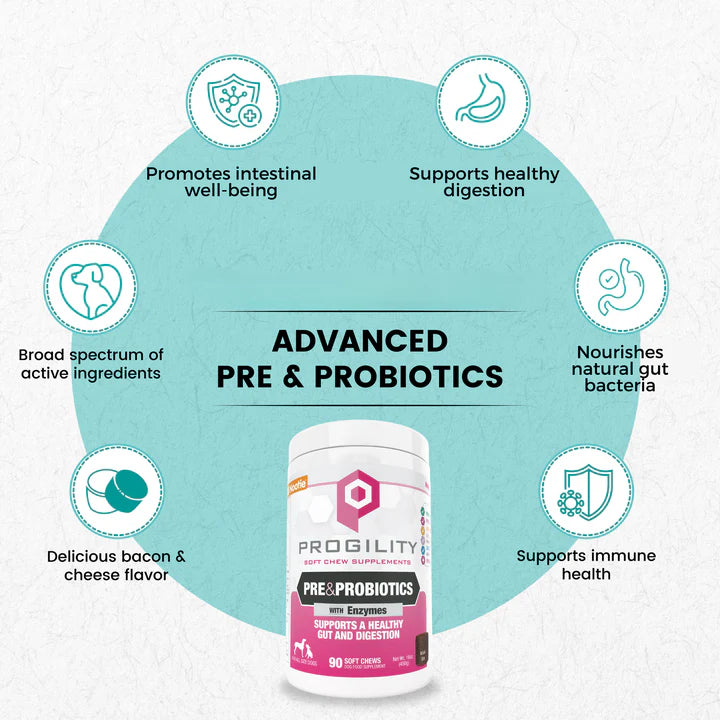 Nootie Progility Pre & Probiotics Soft Chew Supplements for Dogs 450g