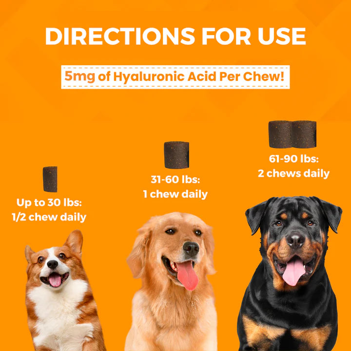 Nootie Progility Hip & Joint Soft Chew Supplements for Dogs 450g