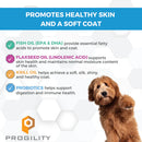 Nootie Progility Skin & Coat Soft Chew Supplements for Dogs 450g