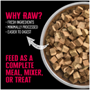 Nutrience SubZero Freeze-Dried Raw Beef & Pumpkin Dog Food