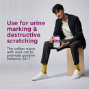 Comfort Zone Calming Pheromone Collar for Cats