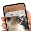 Catit PIXI Smart Drinking Fountain with Remote Control App