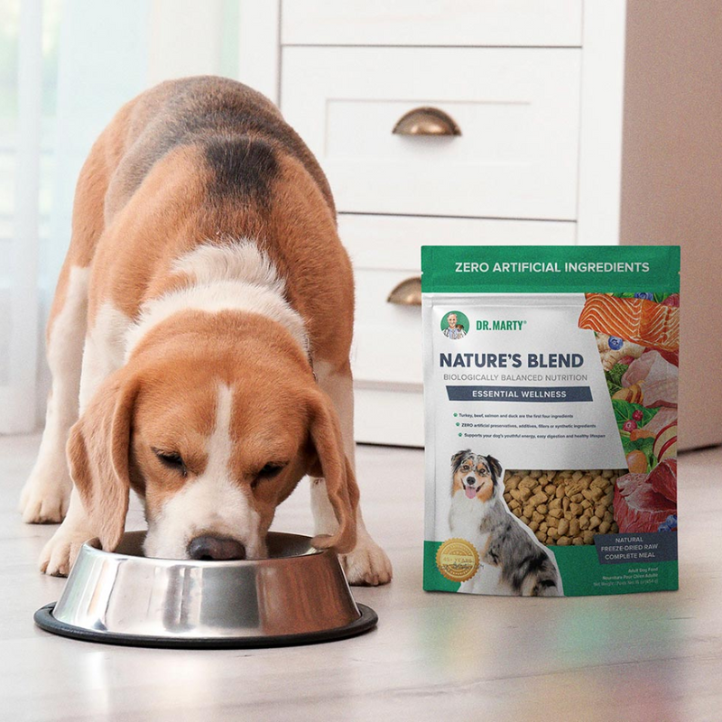 How Much is Dr Marty Dog Food: Price & Value Guide