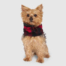 Canada Pooch Cool Factor Snood