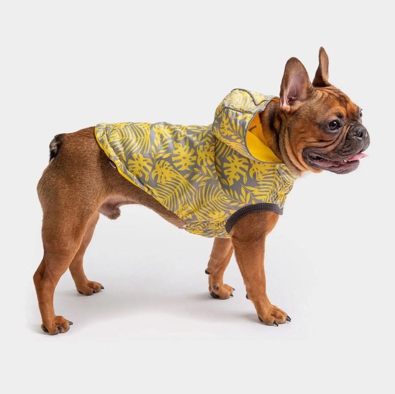 GF Pet Reversible Raincoat - Yellow Leaves