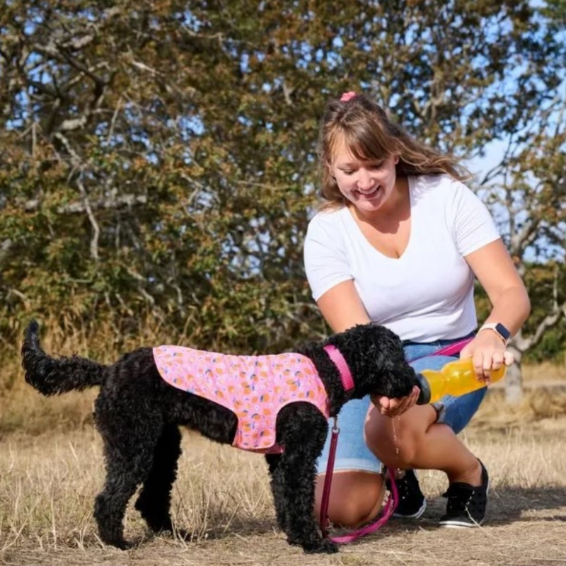 RC Pets Zephyr Cooling Vest - Toucan