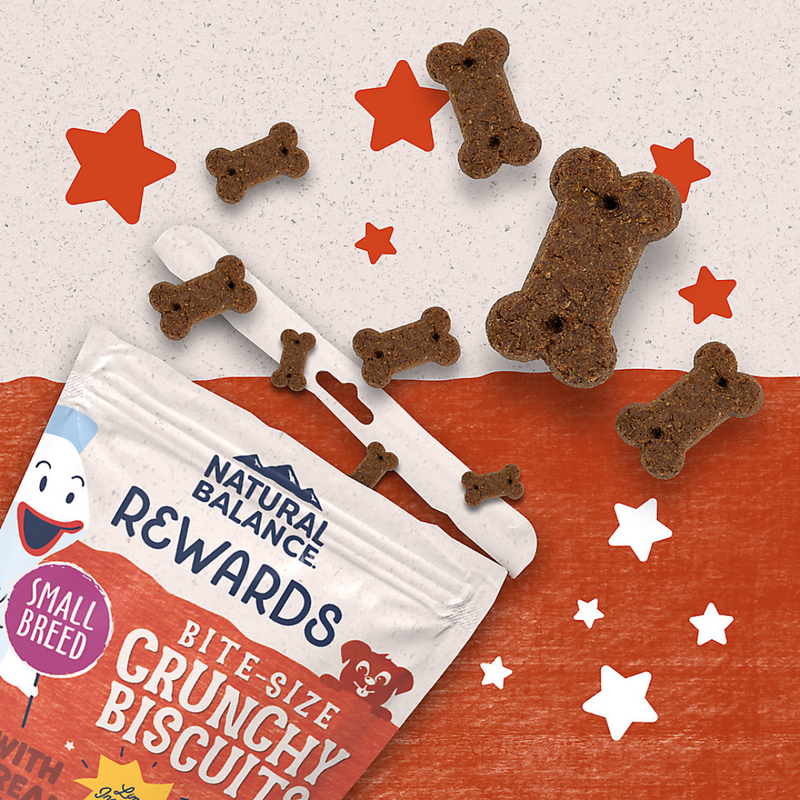 Natural Balance Rewards Bite-Size Crunchy Biscuits with Real Salmon - Small Breed 8oz