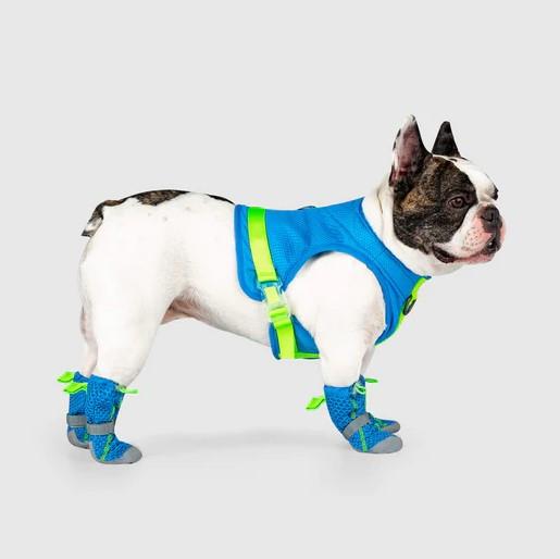 Canada Pooch Hot Pavement Boots - Blue