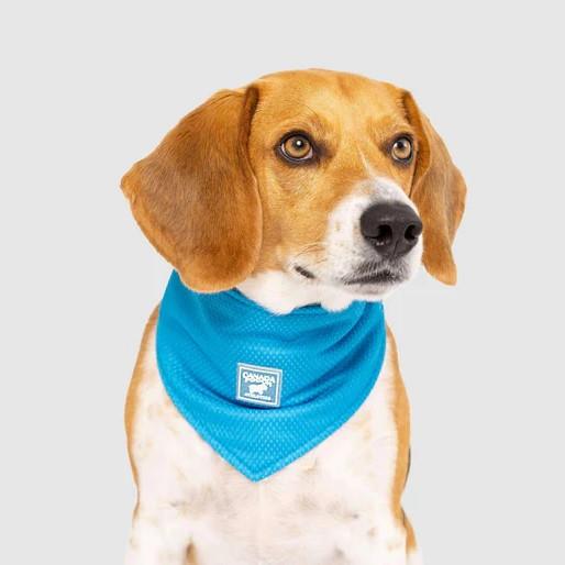 Canada Pooch Chill Seeker Cooling Bandana - Blue