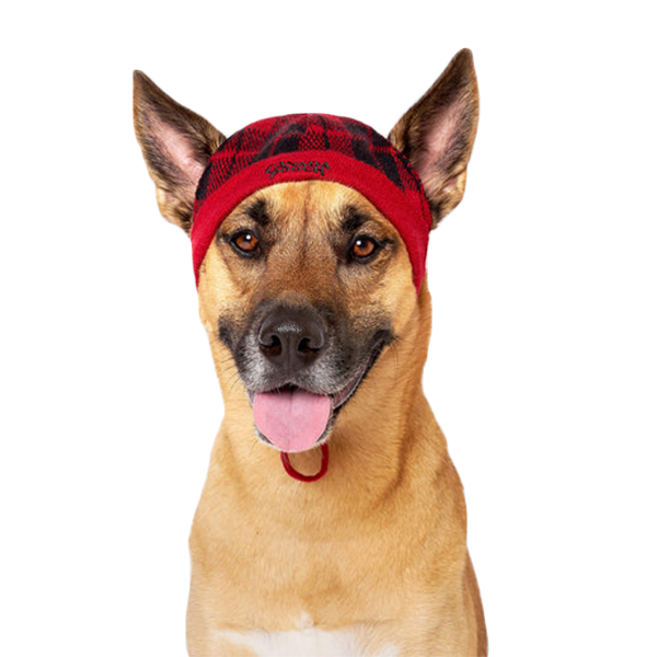 Canada Pooch Red Plaid Printed Beanie