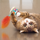 Kong Active Bubble Ball Cat Toy