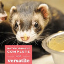 Oxbow Critical Care - Carnivore 70g