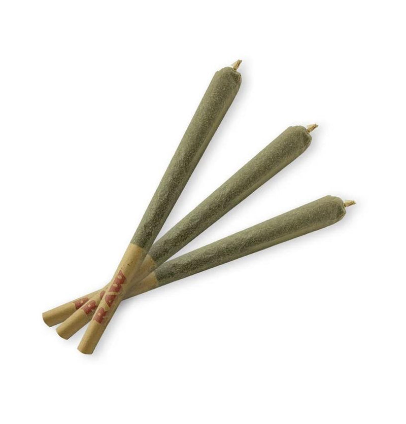 Meowijuana King Size Catnip Filled Joints - 3 Pack