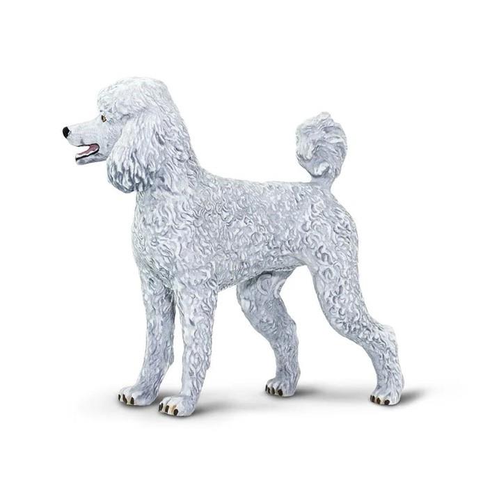 Safari Ltd. Poodle